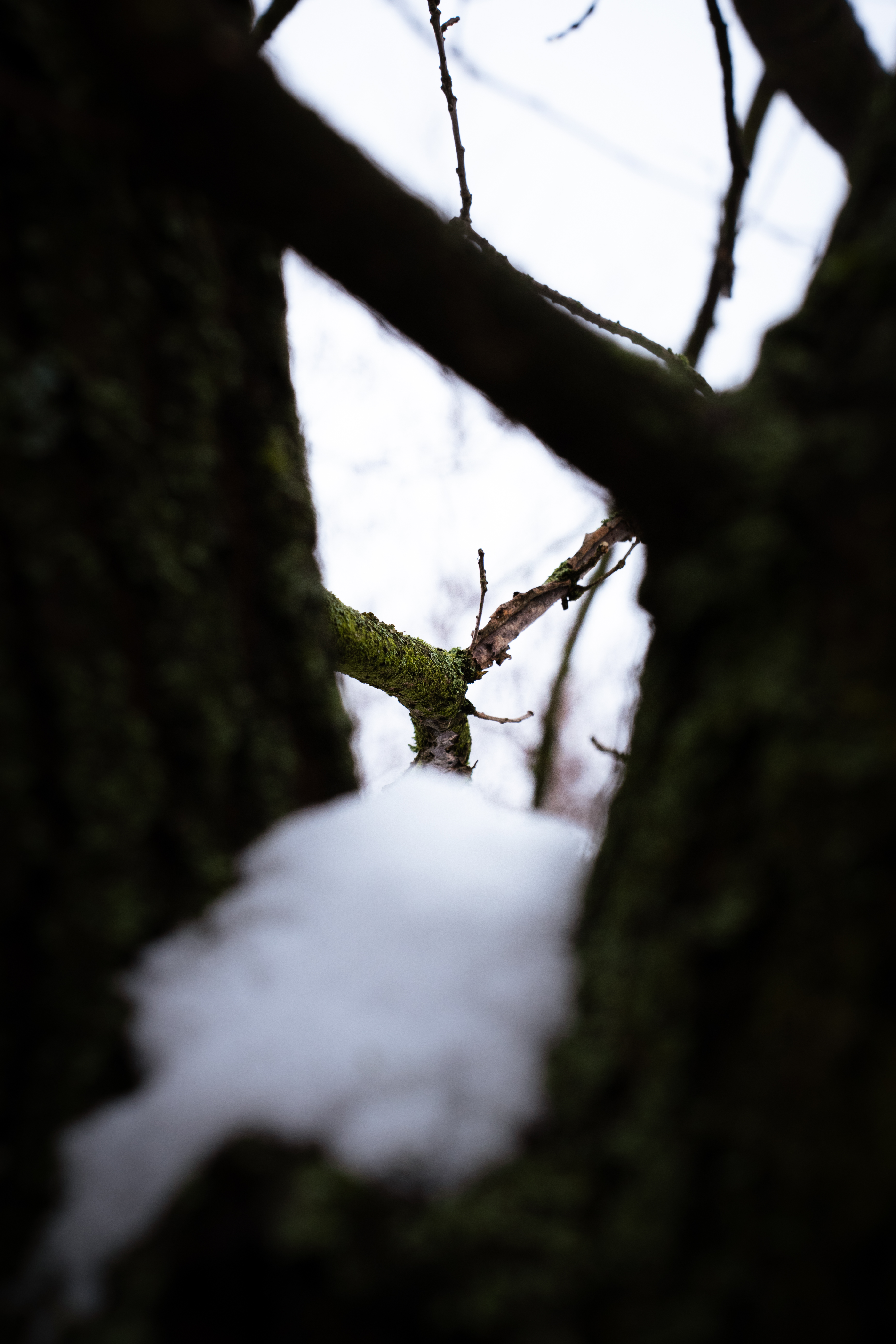 Photography 2