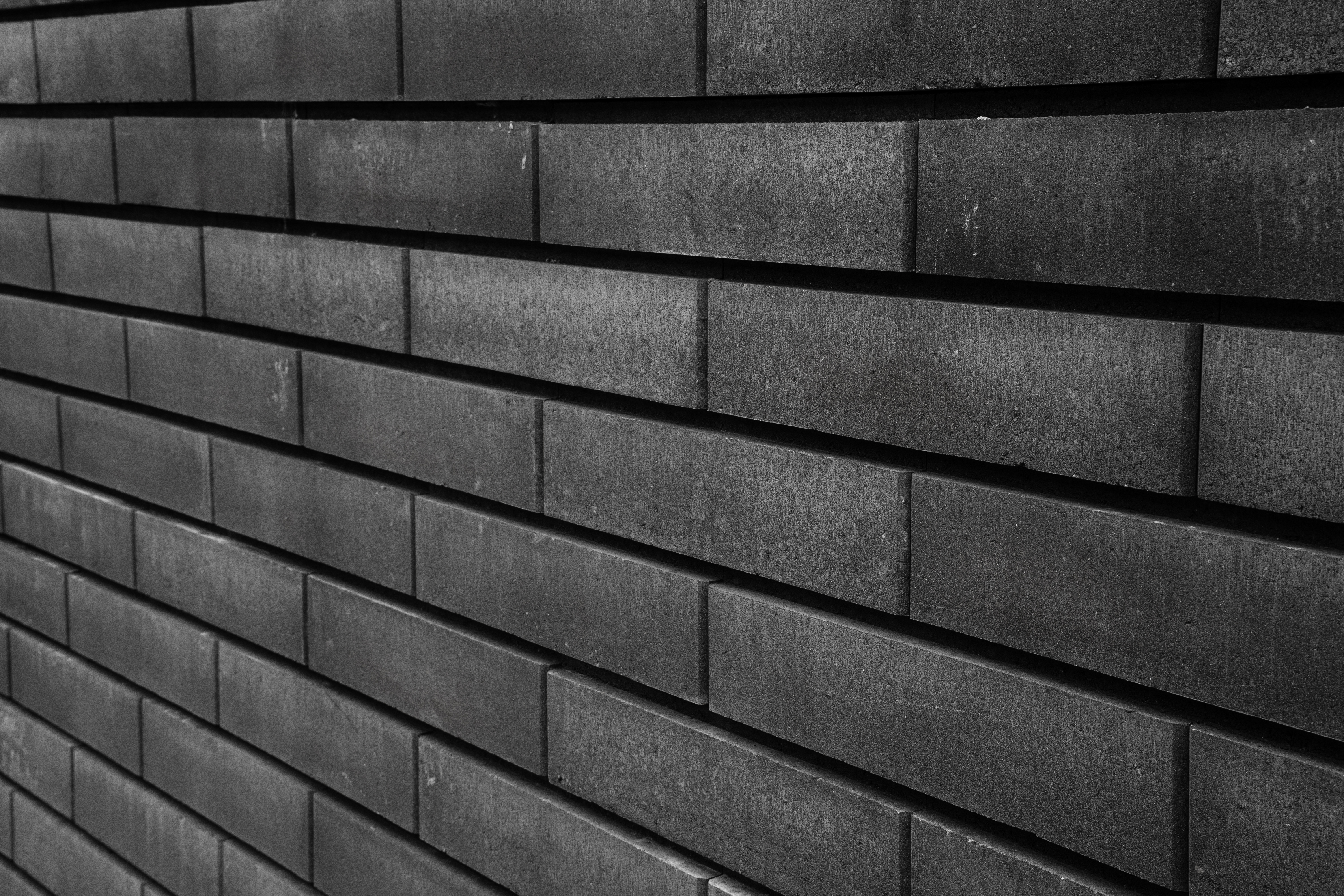 Monochrome Photo 3