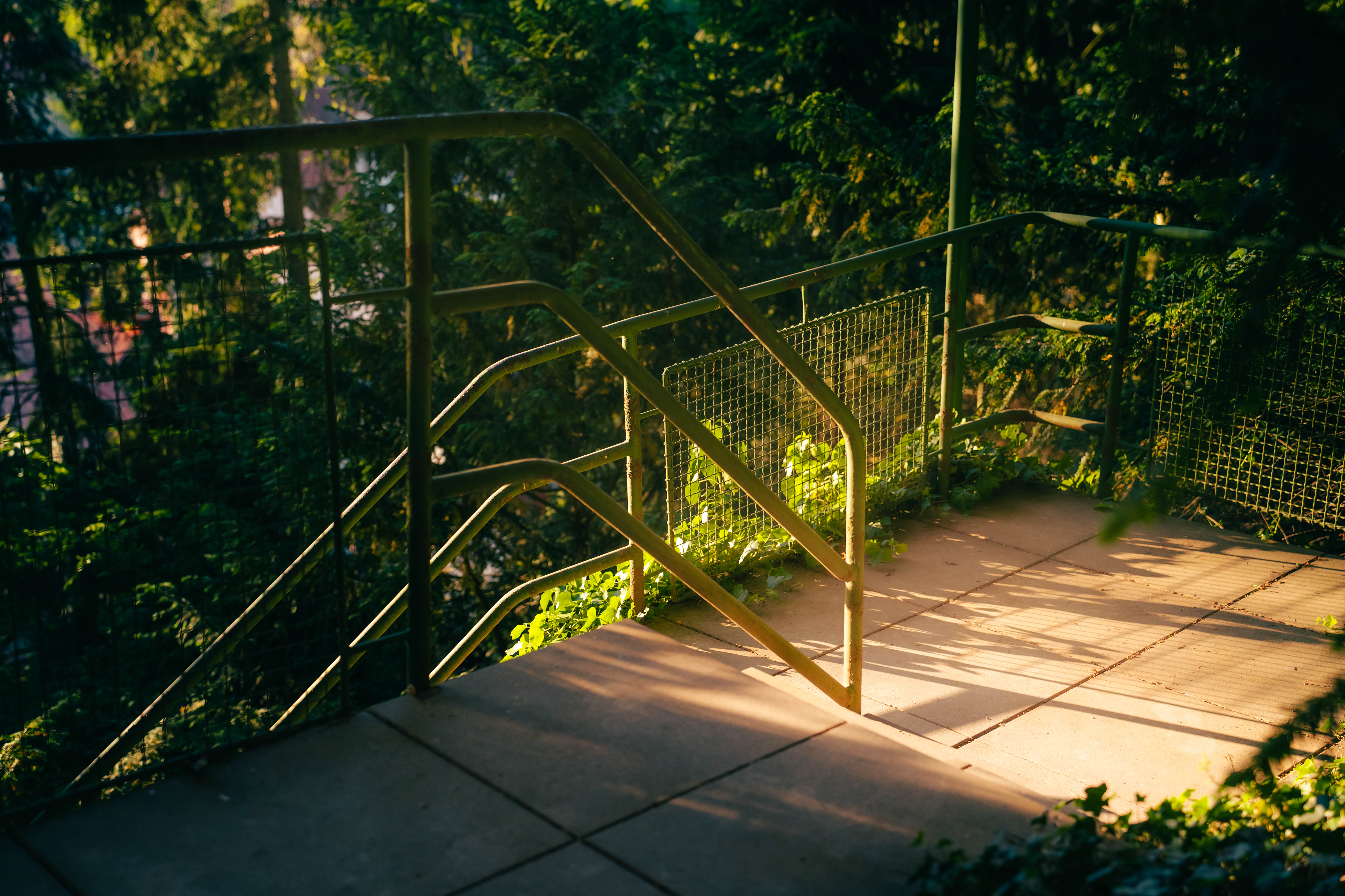 Nature Photo 2