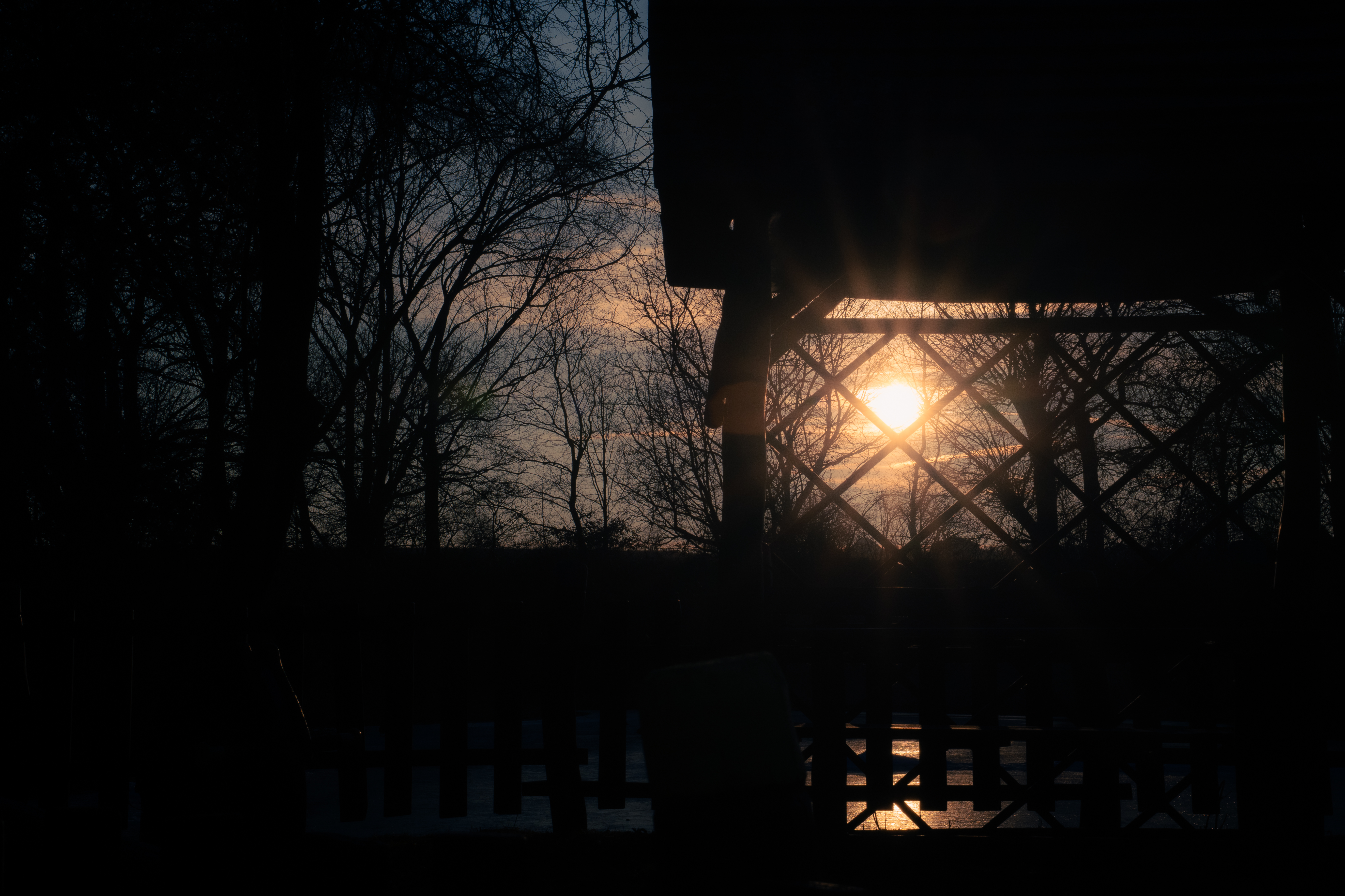 Nature Photo 11