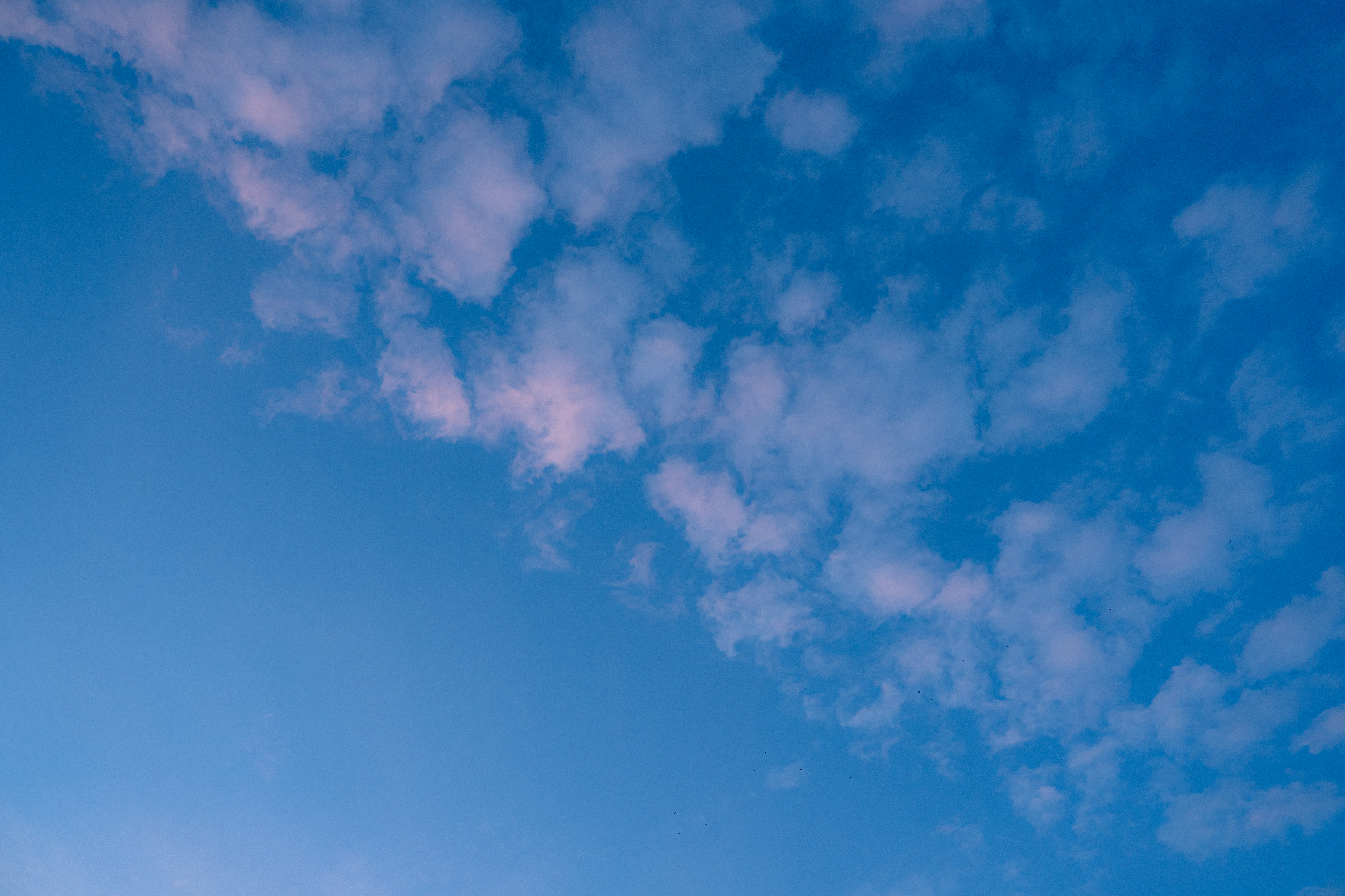 Nature Photo 13