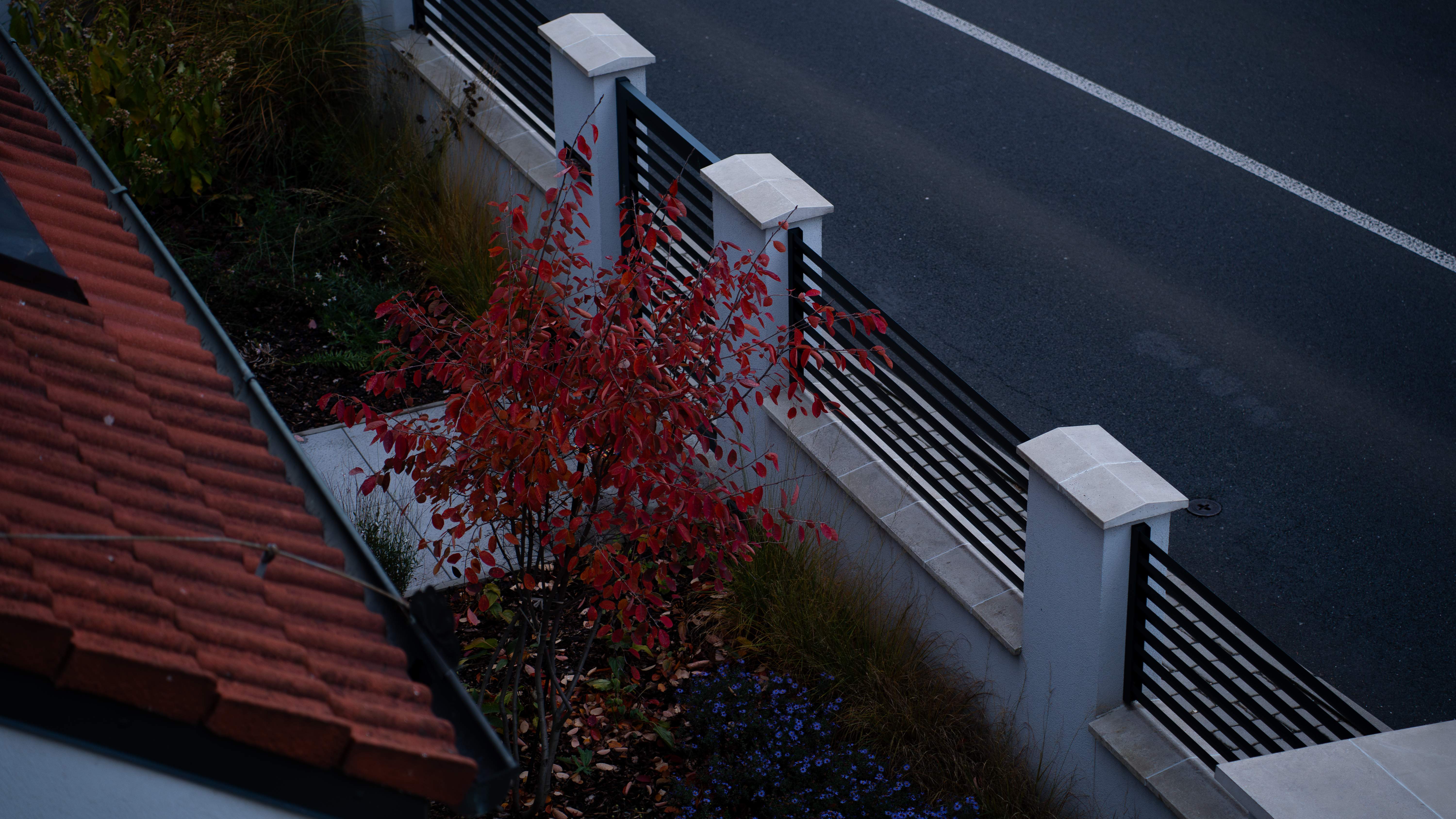 Street Photo 4